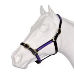 Showcraft – PVC Overlay Halter