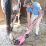 Showcraft – Stable Shovel