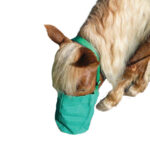Eureka – Feed Bag – Canvas