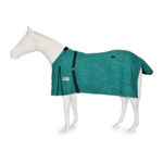 Eureka – Canvas Winter Rug
