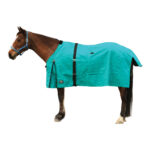 Eureka – Canvas Winter Rug