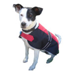 Showcraft – Two Tone Dog Coat