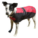 Showcraft – Two Tone Dog Coat