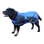 Showcraft – Two Tone Dog Coat
