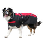 Showcraft – Two Tone Dog Coat
