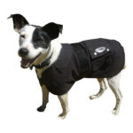 Nullarbor – Oilskin Dog Coat