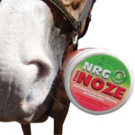 NRG – Pink Noze Zinc Cream Jar