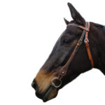 Navaho – Copperfields Bridle & Breastplate Set
