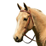 Navaho – Cluster Of Jewels Western Bridle