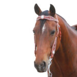 Navaho – Swarovski Crystal & Studs Western Bridle