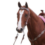 Navaho – Horseshoe Bling Western Bridle