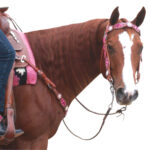 Navaho – Zebra Western Bridle