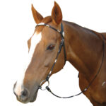 Navaho – Poco Silver Ferrule Bridle