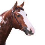 Navaho – Western Knotted Brow Bridle