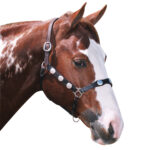 Navaho – Scalloped Western Headstall