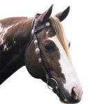 Navaho – Scalloped Silver Bridle