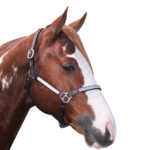 Navaho – Western Silver Headstall
