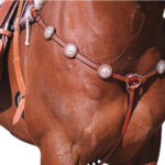 Navaho – Silver Stud Breastplate