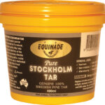 Equinade – Stockholm Tar