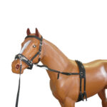 Training Lunge Kit