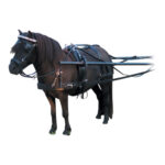 Heritage Leather Harness – Mini